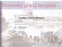 DARWIN A Finta F Morava-Slovenský grand šampion
